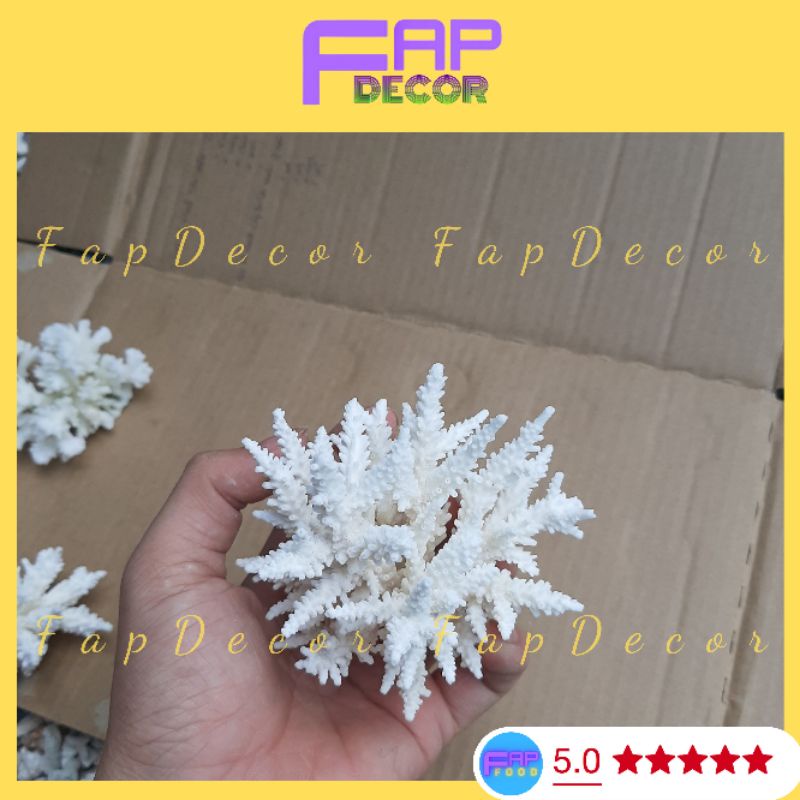 Bông Rạn Biển Mini Siêu Cute Hàng Đẹp Giá Rẻ, San Hô Mini Trang Trí Nhà Cửa Setup Thủy Sinh - FapFood