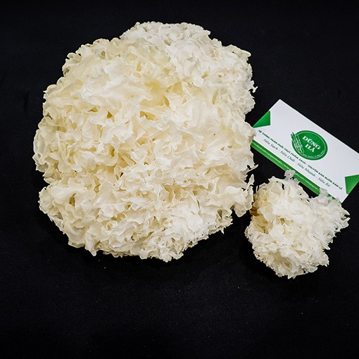Nấm tuyết khô (ngân nhĩ) - ảnh thật - Hàng chuẩn - 250gr | BigBuy360 - bigbuy360.vn