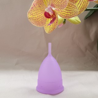 Cốc nguyệt san Senna Korean