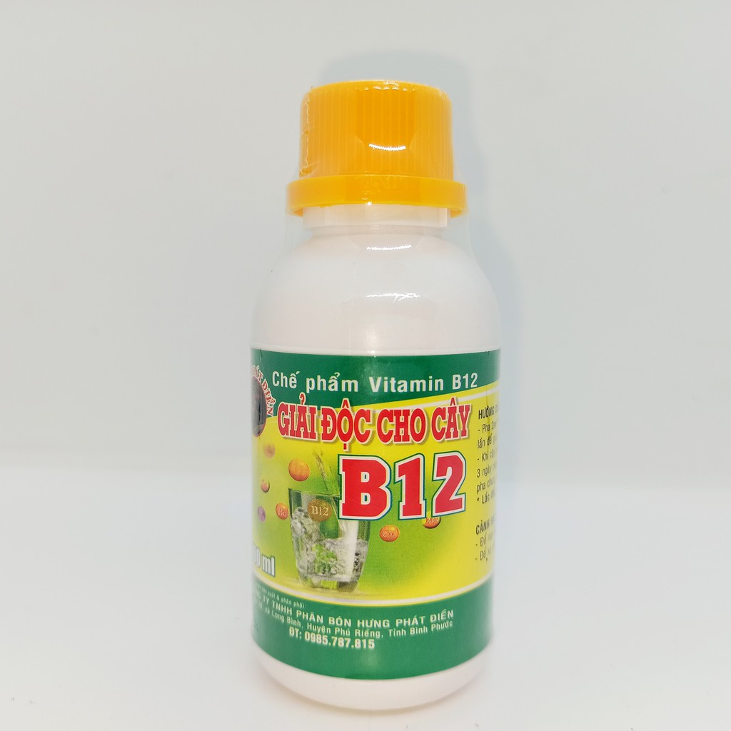 B12 Giả độc Lan, cây cảnh lọ 100ml