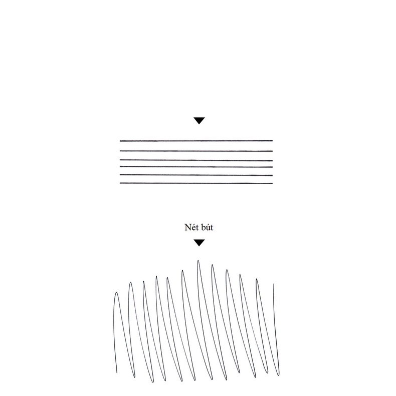 Bút bi ngòi mực true colour