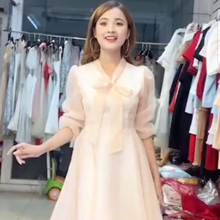 Váy công chúa dự tiệc