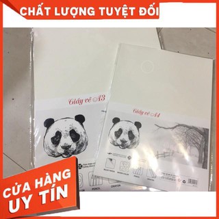 Tập giấy gấu A3-A4