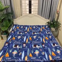 [RẺ VÔ ĐỊCH ❤️] Topper nệm lót nằm êm ái như khách sạn 5