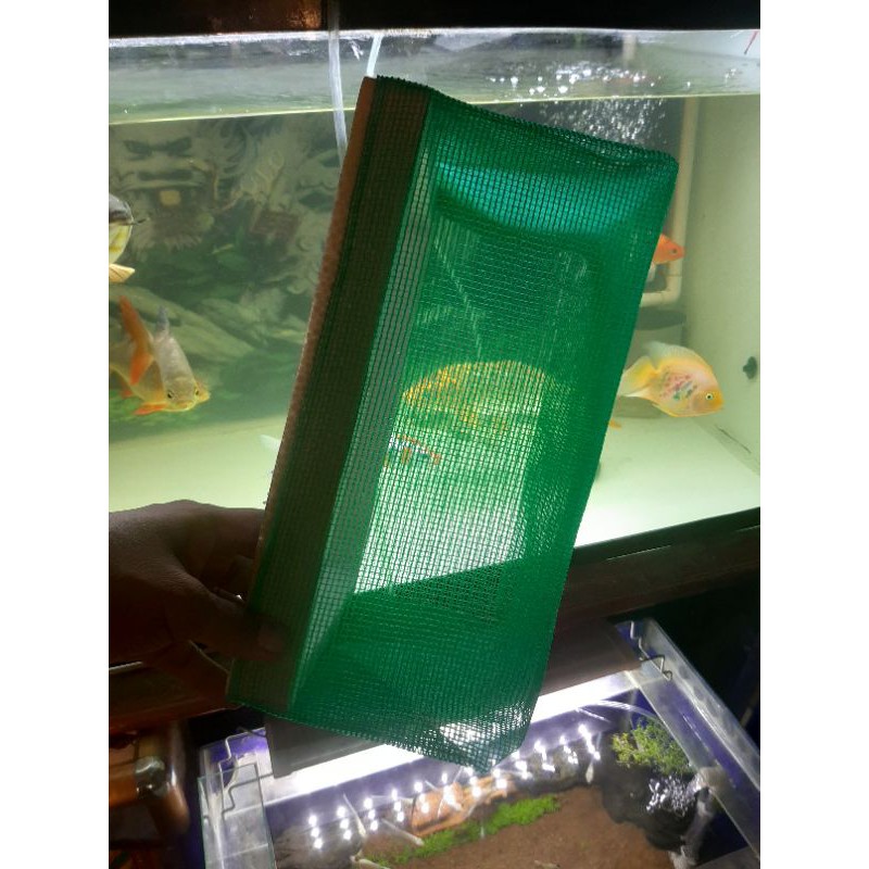 lồng đẻ guppy 31×22×14 siêu VIP