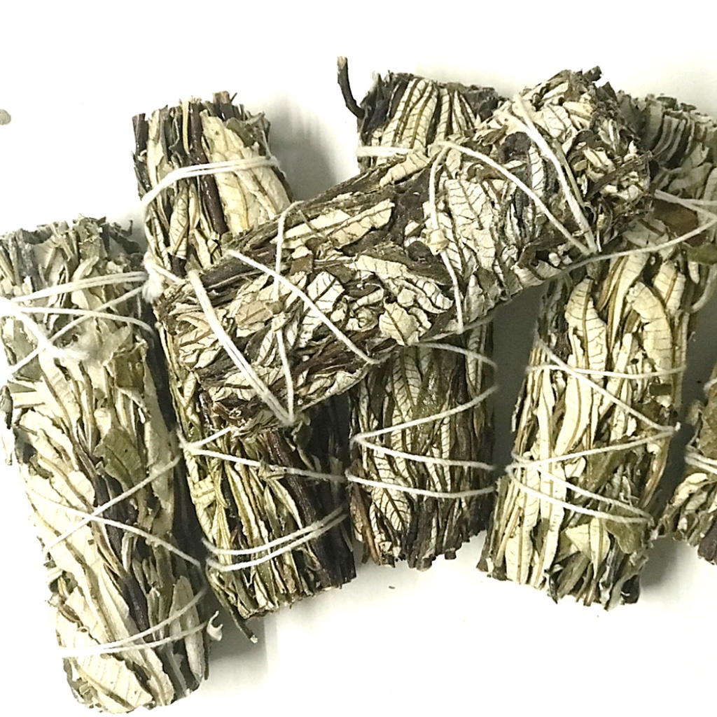 Bó lá mix lá xô thơm trắng và &quot;cây thánh&quot; White Sage + Yerba Santa Smudge Incense 3&quot;-4&quot; Bundle