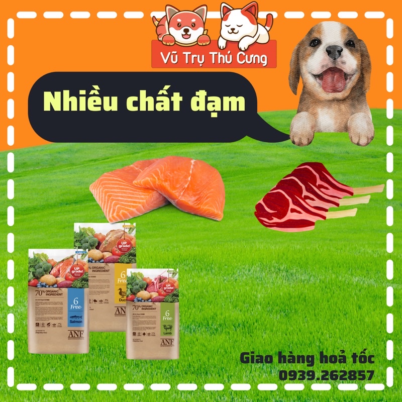 2Kg Hạt hữu cơ ANF 6Free Hàn Quốc dành cho Chó mọi độ tuổi
