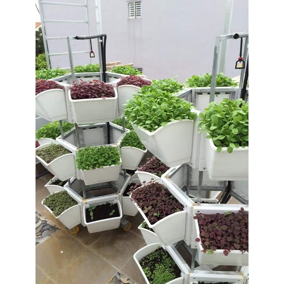 Mô hình trồng rau lục giác di động Quang Anh HCM (18 chậu)