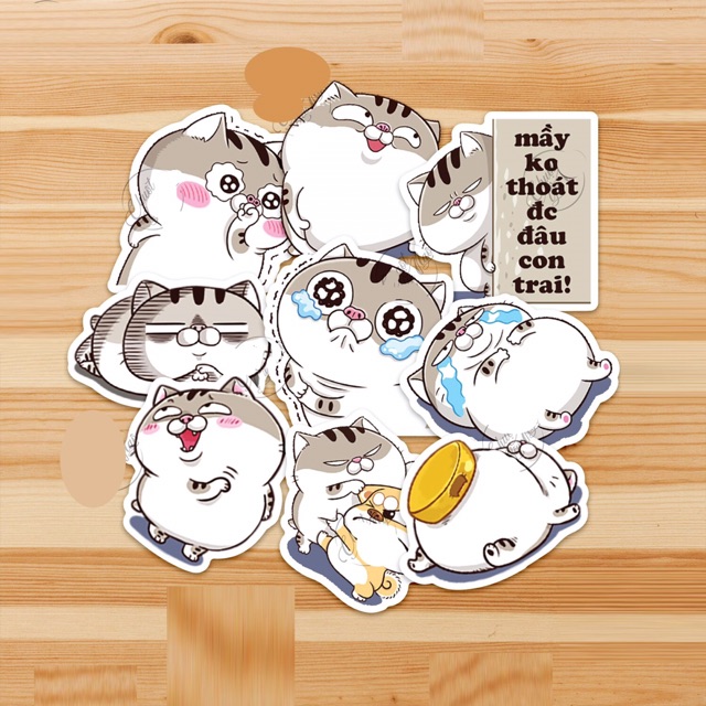 Sticker mèo ami set 30-50 cái ép lụa / hình dán mèo anim xinh iu