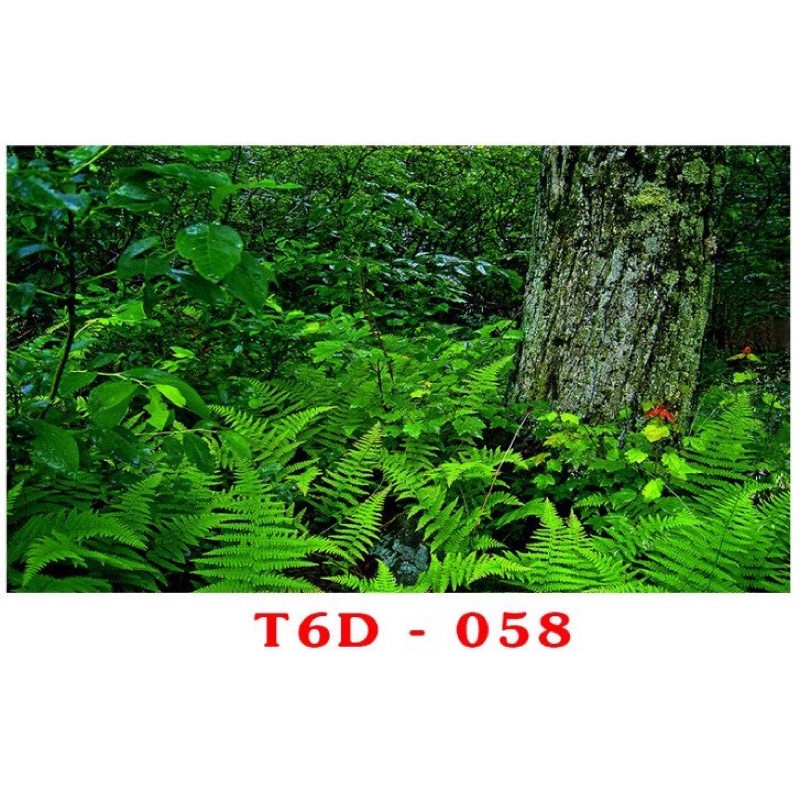 Tranh 3D trang trí hồ cá, bán cạn tiểu cảnh - chủ đề Đại dương xanh part 3