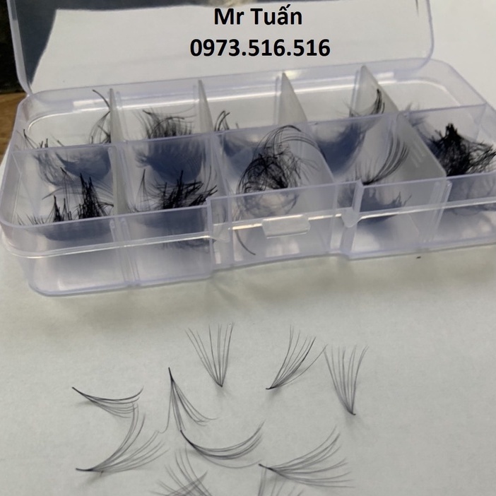 Mi FAN 10D 0.05 -0.07 C - D MIX SIZE mm _dụng cụ nối mi_Mr Tuấn