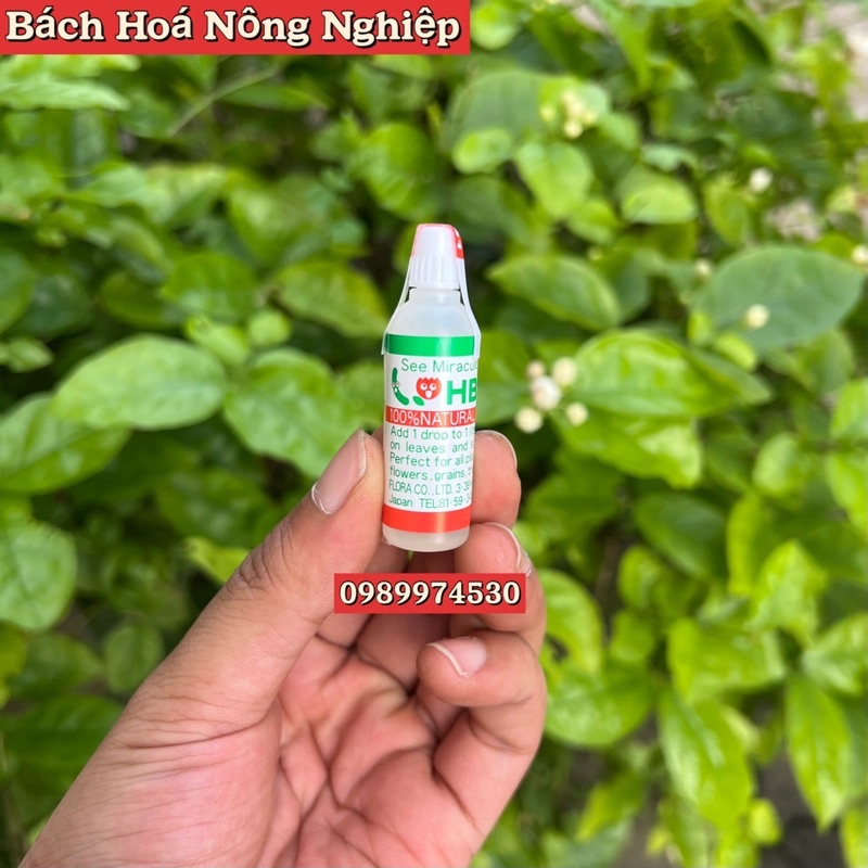 HB 101 Nhật Bản , Phục Hồi Cây Suy Yếu, Tăng Cường Ra Rễ Và Thúc Đẩy Hồi Phục Cây Suy Yếu