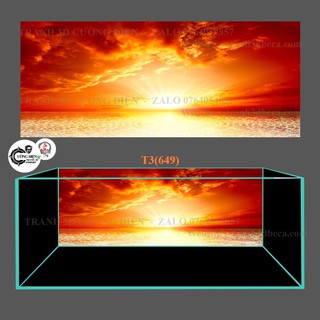 Tranh 3d dán bể cá trang trí bể cá nhiều kích thướt chọn lựa