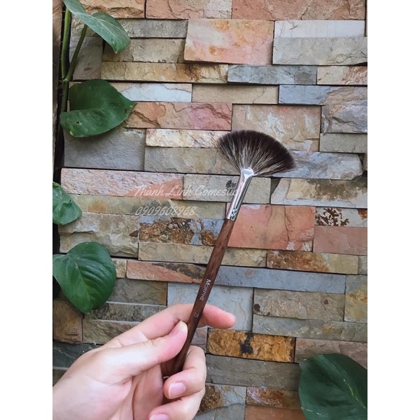 Cọ lẻ morphe