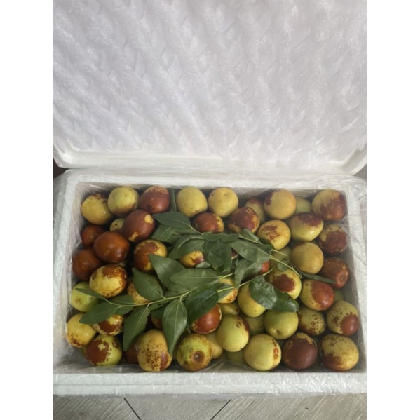 HCM Free Ship - 1.5kg Hồng Táo Tàu Tươi Hàng Bay VIP 1 Giòn Ngọt Lịm