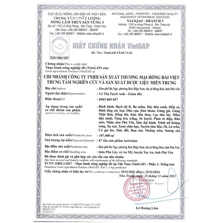 Trà Dây Thìa Canh HERBECO. Trà thảo mộc Dây Thìa Canh giảm tiểu đường, HbA1C, giảm cân