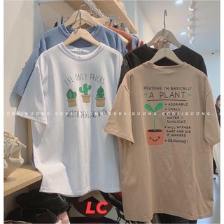 Áo thun nữ form rộng tay lỡ 🦋FREESHIP🦋 Áo form rộng nữ phối màu in hình cây