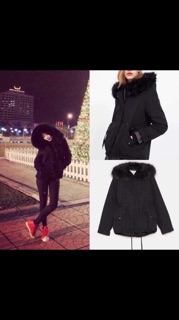 Áo parka auth