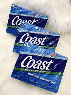 XÀ BÔNG CỤC COAST - USA - 8 CỤC
