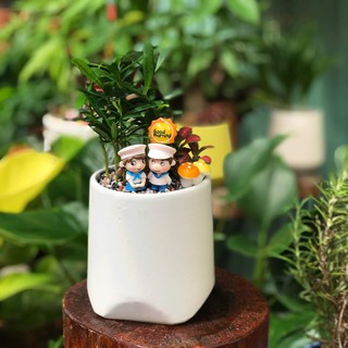 Chậu Sứ Trồng Cây Cảnh Để Bàn, Cây Nội Thất, Sen Đá, Cây Bonsai Hình Vát Chân