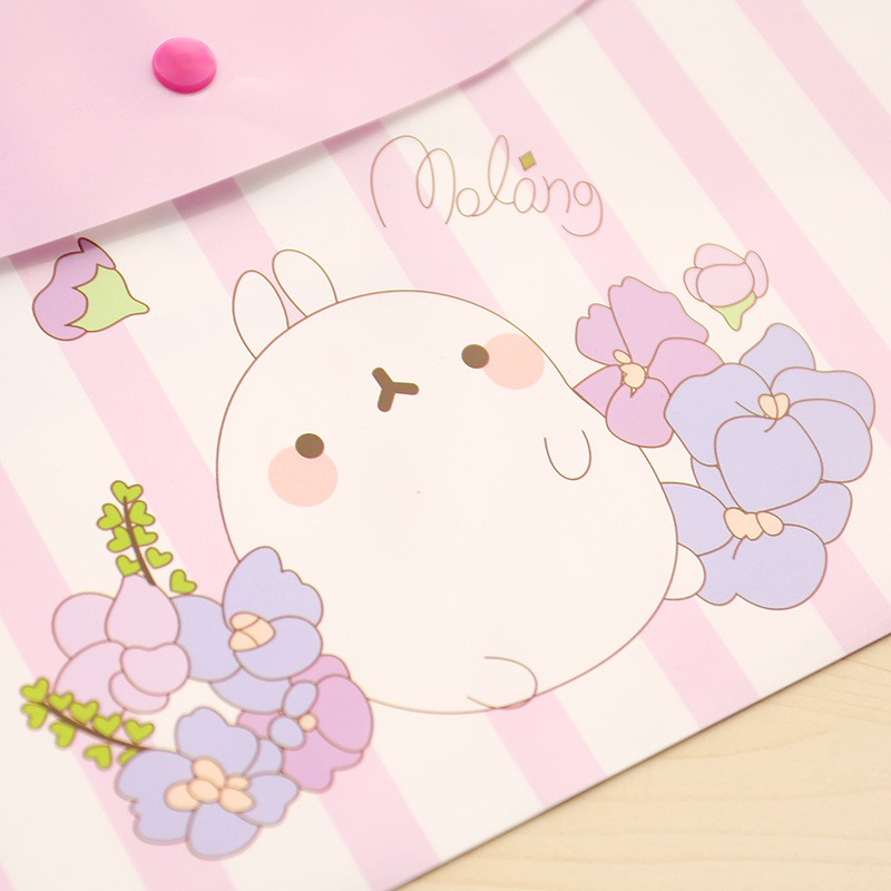 Túi đựng tài liệu size A4 mẫu Molang