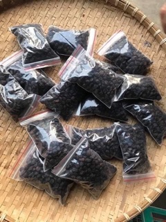 100g Hạt dổi nếp Tây Bắc