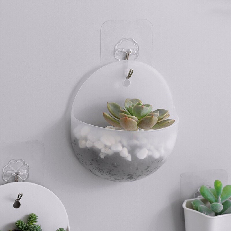 Lọ hoa treo tường