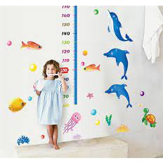 Decal dán tường đo chiều cao cá heo