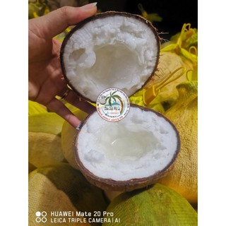 Dừa Sáp Loại 1 đặc kẹo 160k