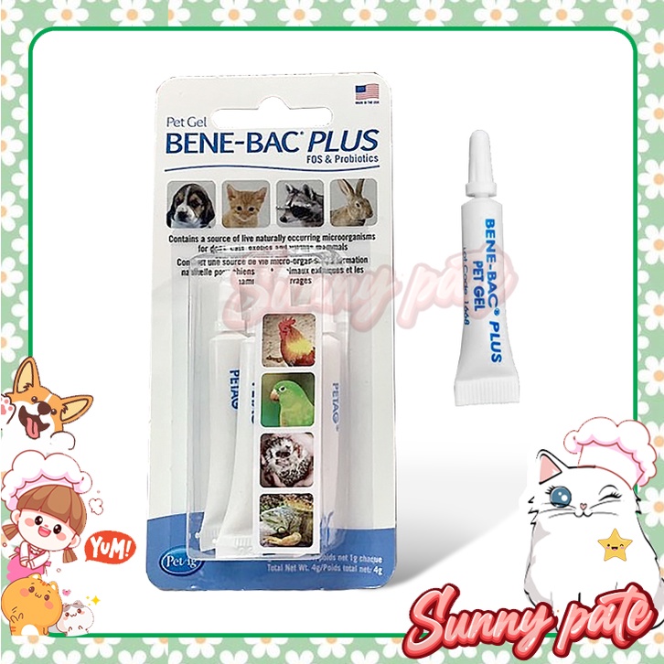 Gel Pet Gel Bene-bac Plus - Men Tiêu Hóa Dạng Gel