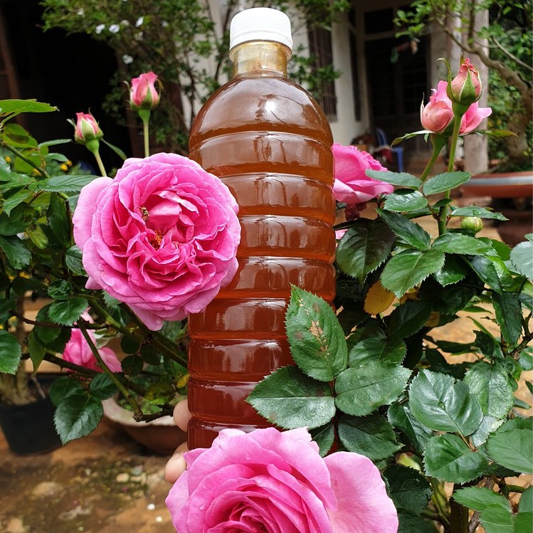 1 Lít Mật ong tự nhiên nguyên chất hoa cà phê chuẩn Đăk Lăk