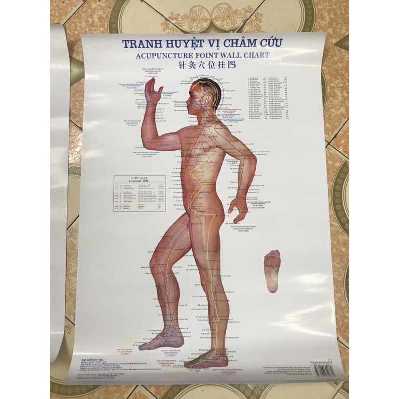 Tranh Châm Cứu 3 Tờ khác nhau