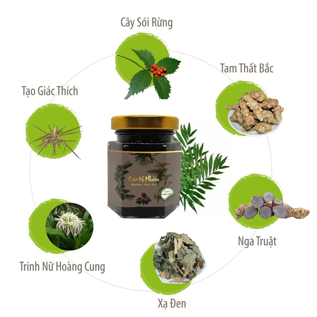 CAO VỊ NHÂN - Hỗ Trợ Đẩy Lùi U Xơ Tử Cung, U Nang Buồng Trứng Hộp 3 Lọ