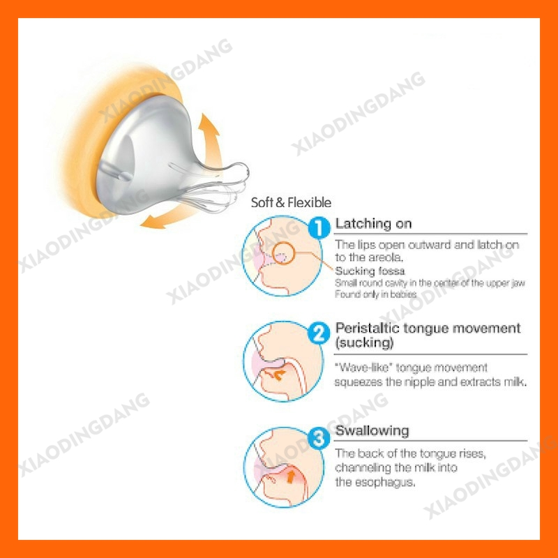 Bình sữa PPSU Plus Pigeon 160ml/ 240ml