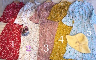 Đầm hoa nhí dập ly