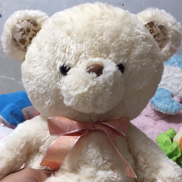 Gấu ( Bằng lăng tím )