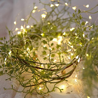 [KHO SI SIÊU RẺ] Dây đèn Fairy Light 5 mét (cắm điện)