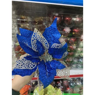 Hoa trạng nguyên trang trí noel
