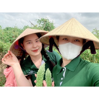 xit khoang thao moc lim