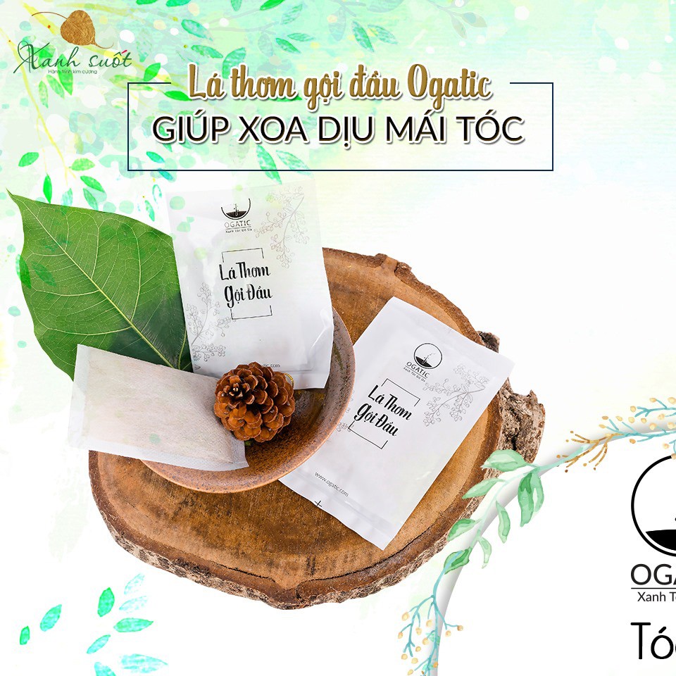 [Ogatic] Lá thơm gội đầu- Kích thích mọc tóc- Trị Gàu- Phục hồi tóc hư tổn