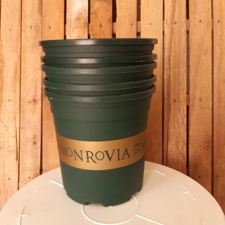 combo 2 chậu cỡ số 5 màu đen, 2 chậu màu xanh, chậu cỡ số 2, số 1