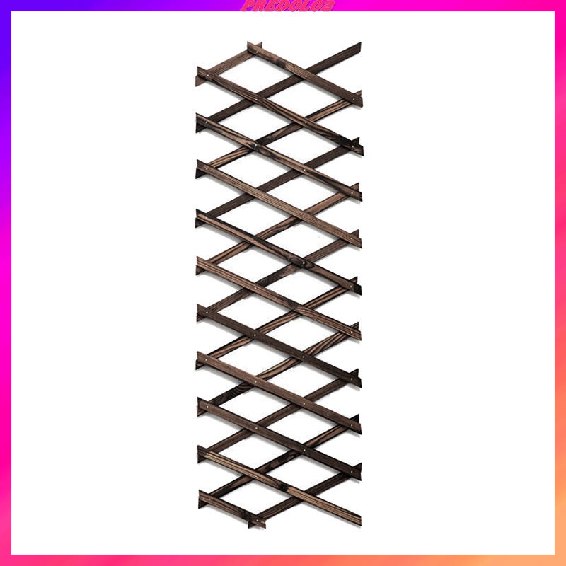 Hàng rào gỗ trồng cây dây leo trang trí sân vườn