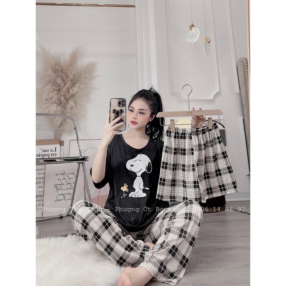 Bộ thun nữ 3 chi tiết chất cotton hàng quảng châu, gồm cả quần dài, quần đùi và áo,,