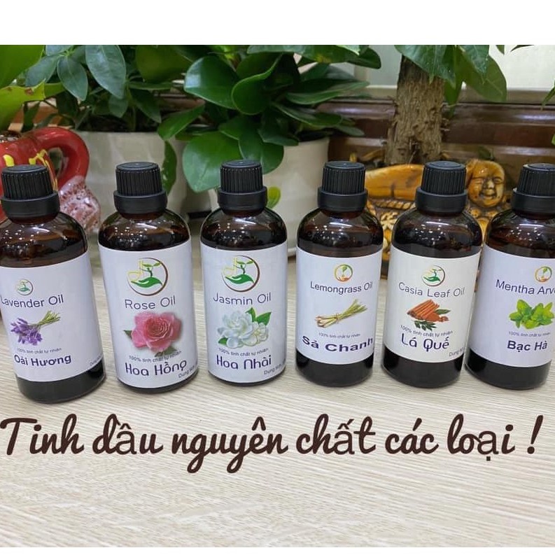 Tinh dầu xông Đèn Khuyết Tán Hương Thơm, Tinh dầu xông phòng 100ml ( 5 hương vị )