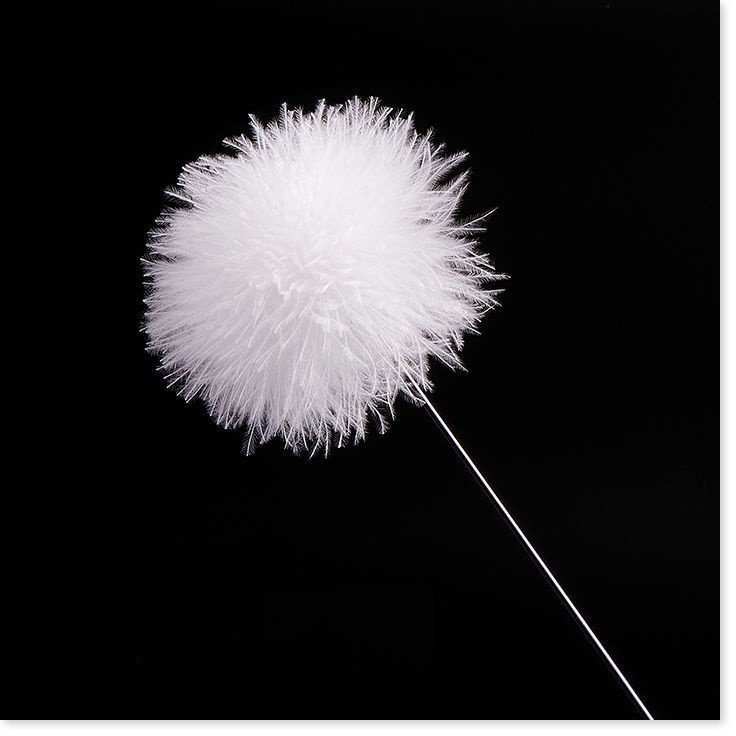 Dụng cụ lấy ráy tai chuyên nghiệp