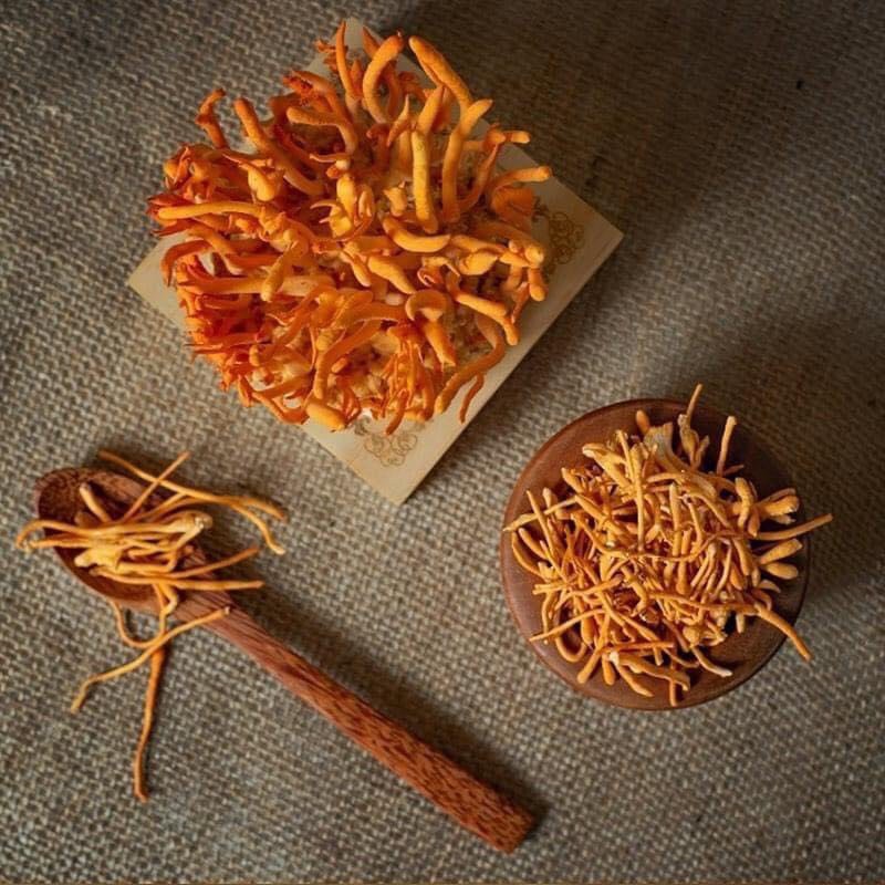 Đông Trùng Hạ Thảo Sấy Thăng Hoa - Hộp 10G - Vương Khang Thảo -Hàng Chính Hãng - Đông Trùng Hạ Thảo KON TUM | BigBuy360 - bigbuy360.vn