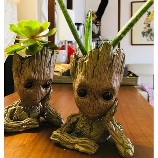 Hộp Đựng Bút Groot (Chậu Cây Mini) - 14cm