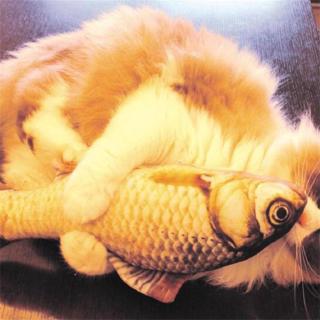 Cá Giả Đồ Chơi Độc Đáo Cho Mèo