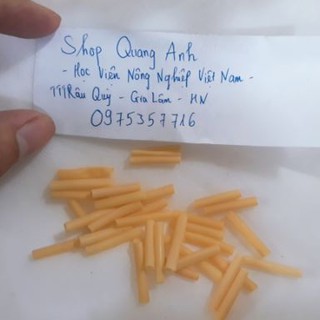 GIUN GHÉP CÂY GIỐNG 100GR