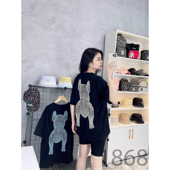 Áo Thun Bigsize Tay Lỡ CHÓ Cotton 100% Unisex (Ảnh Thật)